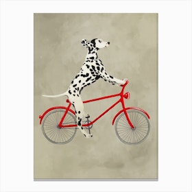 Dalmatian On Bicycle Canvas Print