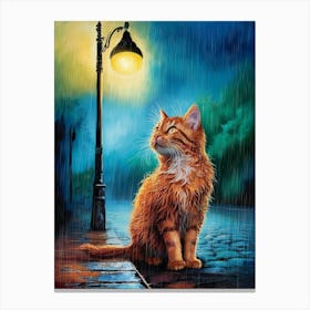 Cat In The Rain 1 Canvas Print