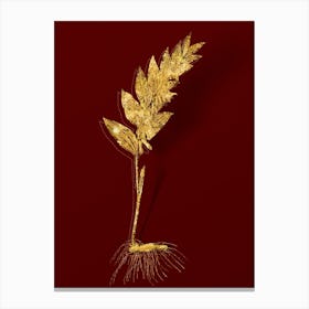 Vintage Angular Solomon's Seal Botanical in Gold on Red n.0406 Canvas Print