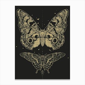 Moths 3 Canvas Print