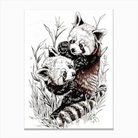 Red Panda Playing Together In A Meadow Ink Illustration 1 Canvas Print