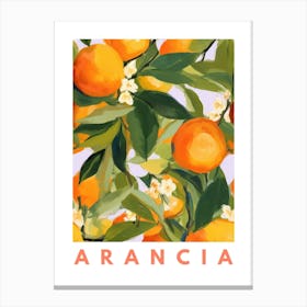 Orange Fruit Print 5 Canvas Print