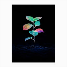 Plant Growing In The Dark 29 Canvas Print