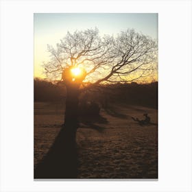 Tree Silhouette and Winter Landscape at Sunrise in Broomfield Park, London Canvas Print