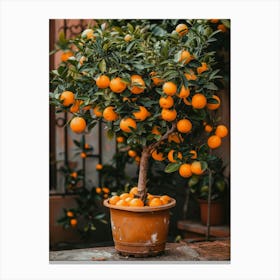 Tangerine Tree 1 Canvas Print