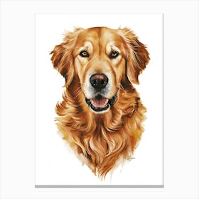 Golden Retriever 4 Canvas Print