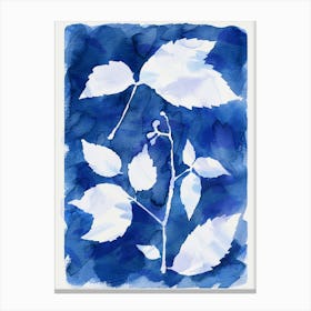 Cyanotype Botanical 1 Canvas Print