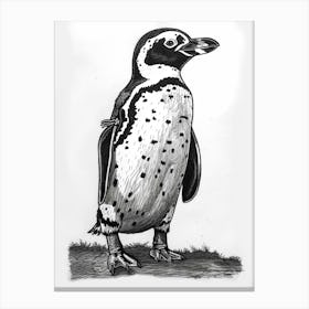 African Penguin Standing Tall And Proud 2 Canvas Print