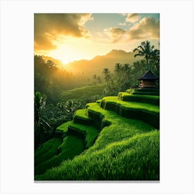 Rice Terraces At Sunset In Bali Canvas Print