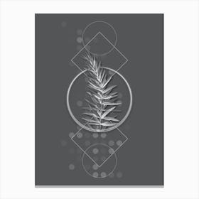 Vintage Whorled Solomon's Seal Botanical with Line Motif and Dot Pattern in Ghost Gray n.0349 Canvas Print