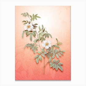 Musk Rose Vintage Botanical in Peach Fuzz Seigaiha Wave Pattern n.0175 Canvas Print