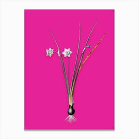 Vintage Daffodil Black and White Gold Leaf Floral Art on Hot Pink n.0378 Canvas Print