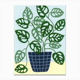 Monstera Obliqua Houseplant Painting Canvas Print