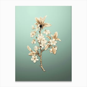 Gold Botanical White Plum Flower on Mint Green n.0938 Canvas Print