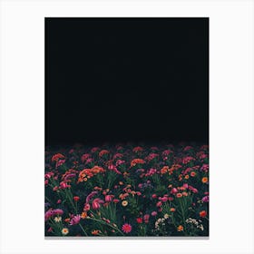 Field Of Flowers 2 Canvas Print