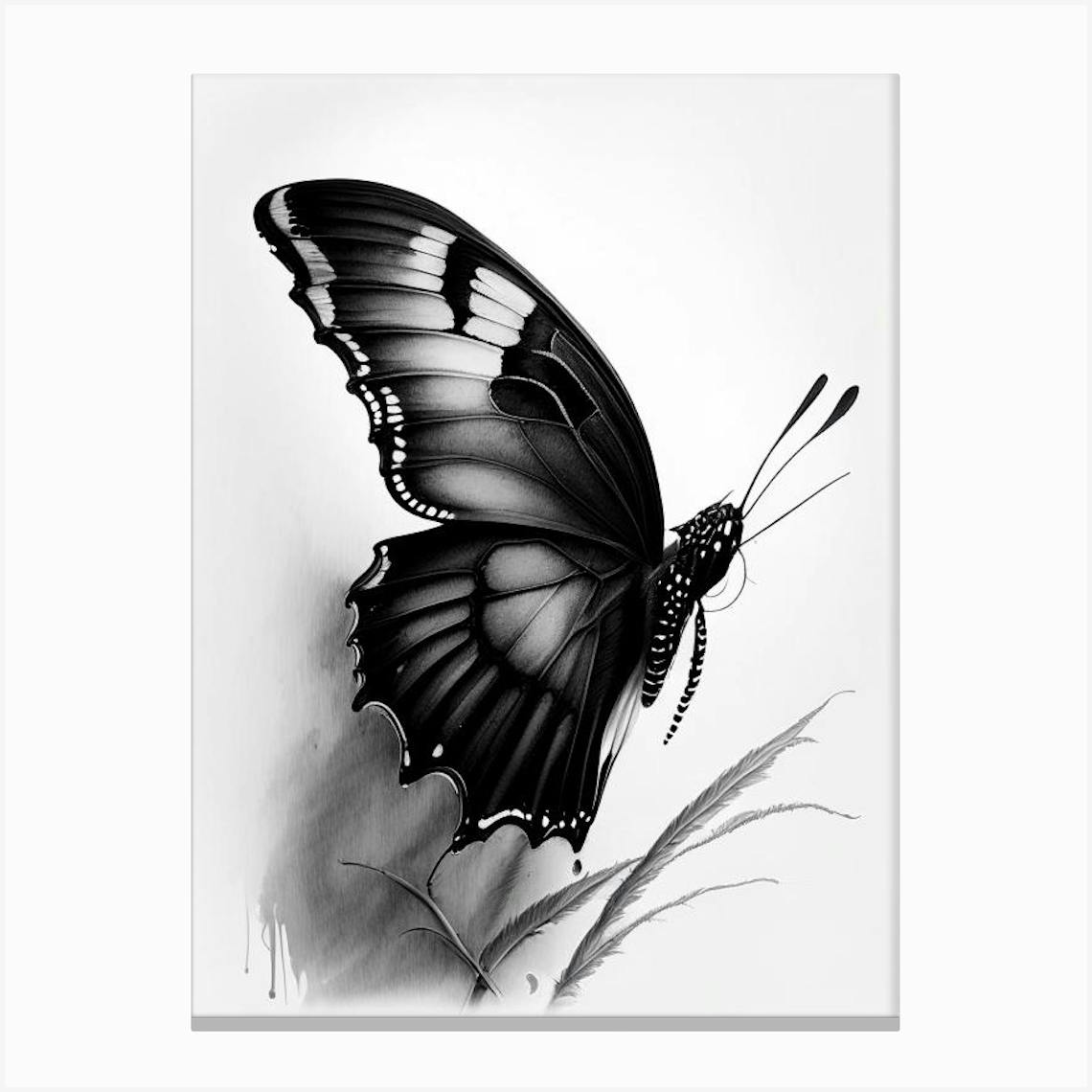 Butterfly  Moth Tattoo Designs  Ideas  Cloak  Dagger London