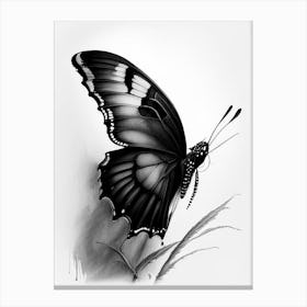 Black Swallowtail Butterfly Graffiti Illustration 1 Canvas Print