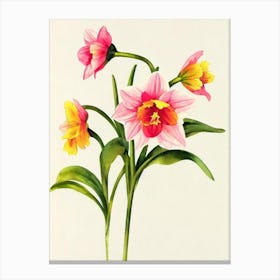 Daffodils Vintage Flowers Flower Canvas Print