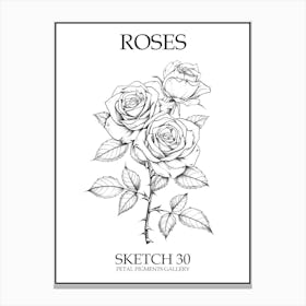 Roses Sketch 30 Poster Canvas Print