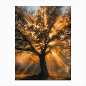 Tree Of Light Canvas Print