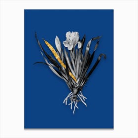 Vintage Crimean Iris Black and White Gold Leaf Floral Art on Midnight Blue n.0260 Canvas Print