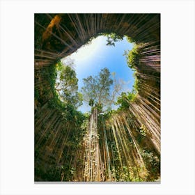 Nature wonder, cenotes of Mexico Canvas Print