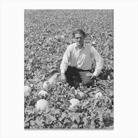 Mr Ernest W Kirk Jr, Fsa (Farm Security Administration) Client, With Honeydew Melons Grown On His Farm Canvas Print