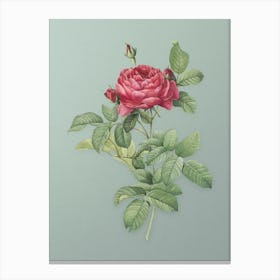 Vintage Red Gallic Rose Botanical Art on Mint Green n.0342 Canvas Print