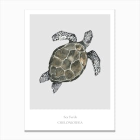 Sea Turtle Chelonia Canvas Print