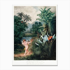 Cupid Inspiring Plants With Love From The Temple Of Flora (1807), Robert John Thornton Canvas Print