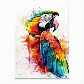 Macaw Colourful Watercolour 1 Canvas Print