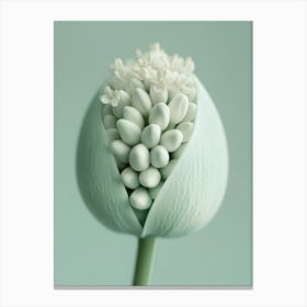 White Flower 3 Canvas Print