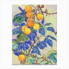 Golden Berry Vintage Sketch Fruit Canvas Print
