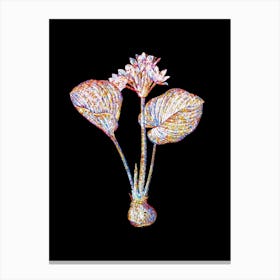 Stained Glass Cardwell Lily Mosaic Botanical Illustration on Black n.0283 Canvas Print