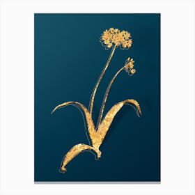 Vintage Spring Garlic Botanical in Gold on Teal Blue n.0142 Canvas Print