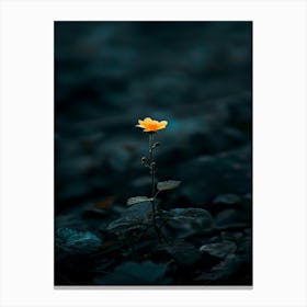 Single Yellow Flower 45 Canvas Print