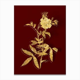 Vintage White Rose of York Botanical in Gold on Red Canvas Print
