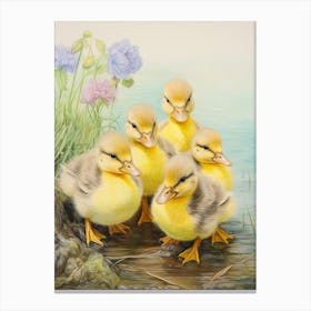 Ducks By The River Pencil Illustration 2 Canvas Print