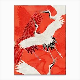 Japanese Cranes Canvas Print