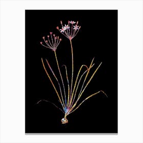 Stained Glass Allium Straitum Mosaic Botanical Illustration on Black n.0100 Canvas Print