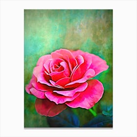 Exquisite Pink Rose  Canvas Print