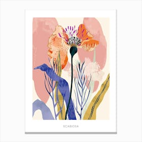 Colourful Flower Illustration Poster Scabiosa 4 Canvas Print