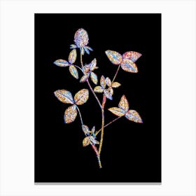 Stained Glass Pink Clover Mosaic Botanical Illustration on Black n.0178 Canvas Print