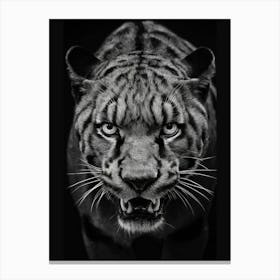 Tiger In Black And White Canvas Print