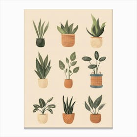 Potted Plants 8 Canvas Print