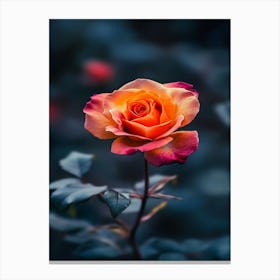 Orange Rose 19 Canvas Print