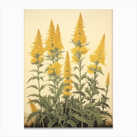 Nokanzou Goldenrod 1 Vintage Japanese Botanical Canvas Print