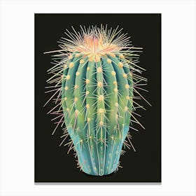 Echinocereus Cactus Minimalist Abstract 3 Canvas Print