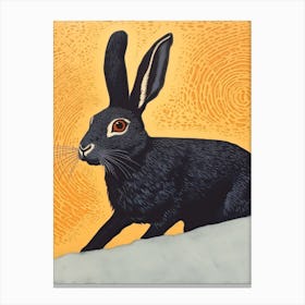 Black Hare Canvas Print