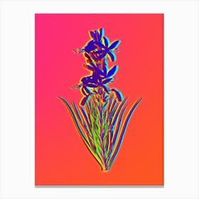Neon Yellow Asphodel Botanical in Hot Pink and Electric Blue n.0512 Canvas Print